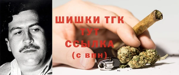 мдпв Касимов