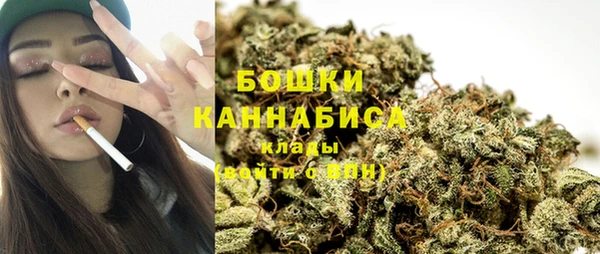 мдпв Касимов
