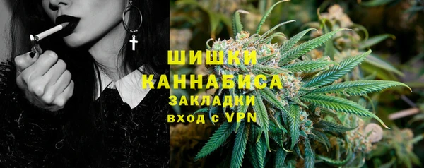 прущие крисы Козловка