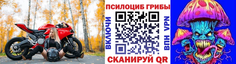 Купить закладки Дегтярск Псилоцибиновые грибы прущие грибы